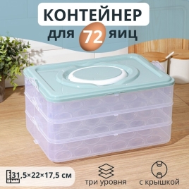 Контейнер для хранения яиц, 31,5х22х17,5 см, цвет МИКС 4704405