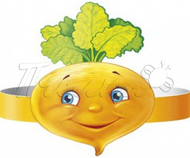 Корона картонная " Империя поздравлений " 450 Репа