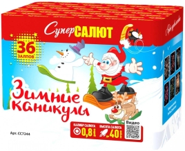 Салют Фейерверк СС7244 Зимние каникулы (0,8" х 36)
