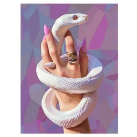 Картина по номерам " Lori " 30*40см Белая змея, в наборе: холст с контуром на подрамнике, краски, ки