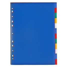 Разделитель листов А4, без индексации 12л, цветной, Office-2000, пластик 120мкм 3624672