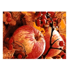 Картина по номерам " Lori " 28,5*38см Осенние яблоки, состав набора: основа на картоне с контуром, к