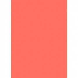 Бумага цветная для офиса А4, 20л., Неон "Коралловый", Alingar, 70г/м2, пленка т/у