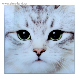 Картина ВЗГЛЯД КОТА стекло 50*50см 1151513