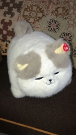 Кошка глаза закрывает  (40 шт)