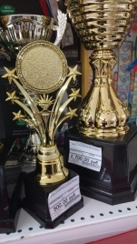 Кубок спортивный 23см 16728C